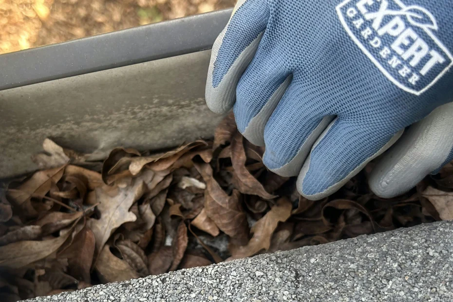 Gutter Cleaning Largo FL