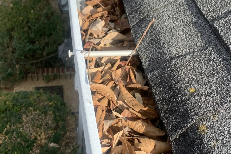 Gutter Cleaning Largo FL