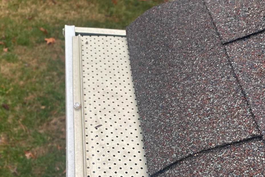 Gutter Cleaning Largo FL