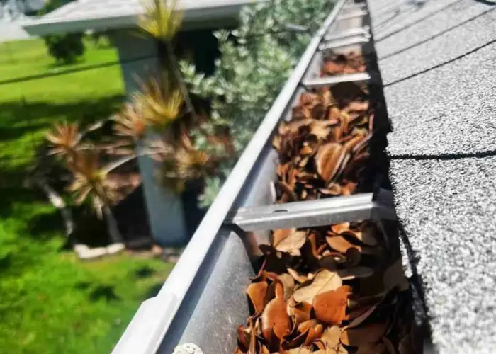 Gutter Cleaning Largo FL home page